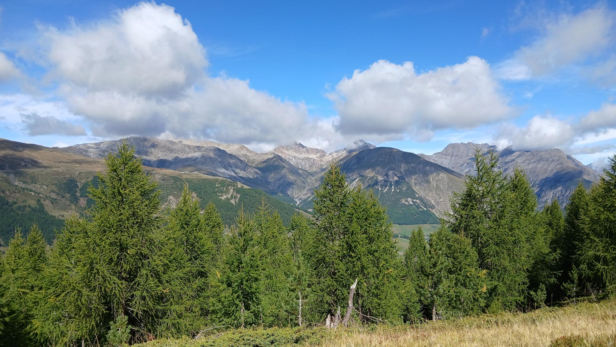 Individueller Weg: Was eine Alpenwanderung über Digitalisierung lehrt Individueller Weg: Was eine Alpenwanderung über Digitalisierung lehrt